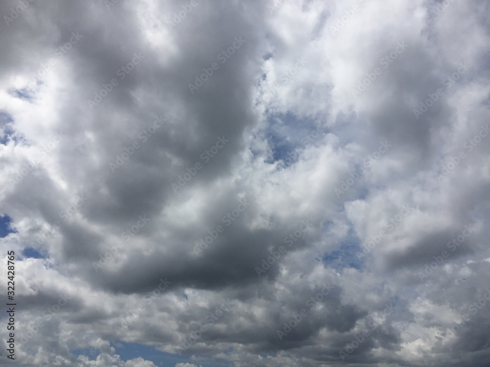 Fototapeta premium 空