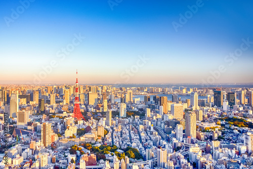 Unique Destinations Concepts. Tokyo Skyscrapers Skyline at Blue Hour in Japan with Renowned Tokyo Tower