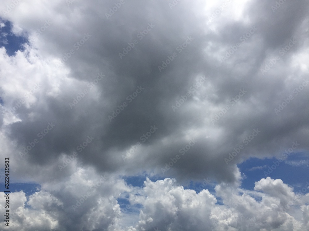 Fototapeta premium 空