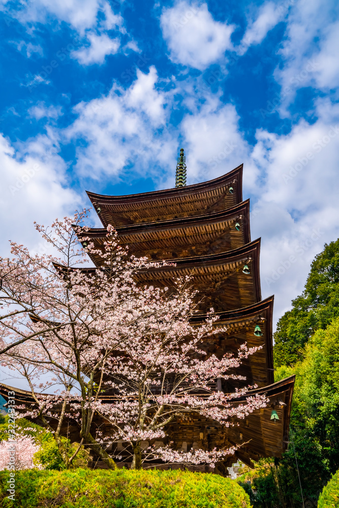 桜と五重塔 桜と五重塔