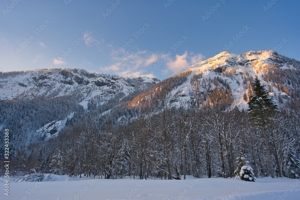 winter in the mountains, landscape