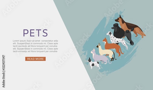 Pets shop web banner with different dogs and cats, petshop or veterinary service and food vector illustration. Food for big size dogs and cats. Happy and friendly cartoon pets with typography.