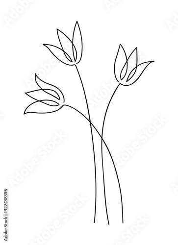 Beautiful tulip flower bouquet. Line art concept design. Continuous line drawing.