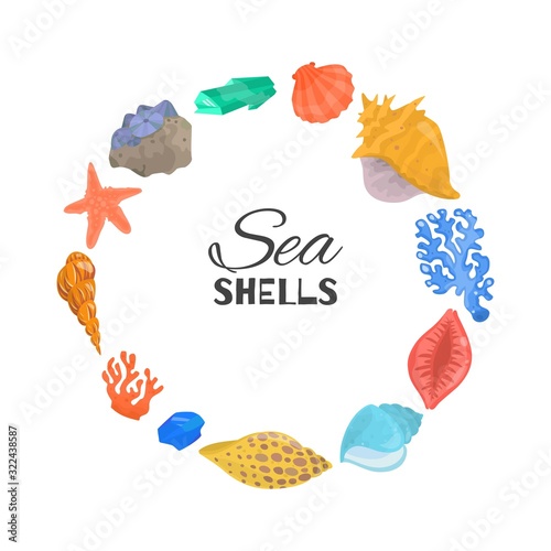 Cartoon sea shells, starfish, coral and ocean cockleshells in circle composition with typography isolated on white, vector illustration. Sea shells, corals and starfish poster.