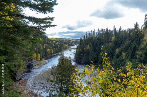river in the forest