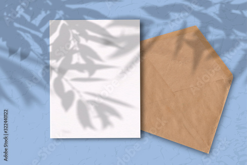 An envelope with a sheet of white paper on a blue background. Mockup with overlay of plant shadows . Natural light casts the shadow of field plants and flowers from above © Natika_art