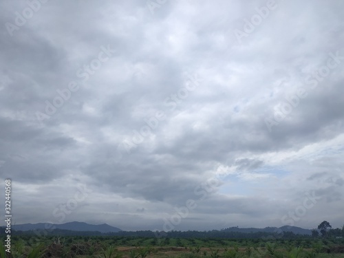 sky and clouds in palm oil plantation