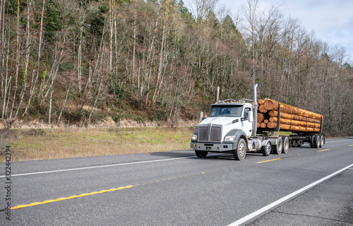 Wallpaper Mural Big rig white day cab semi truck transporting long trees logs on semi trailer running on the road with forest on the hill Torontodigital.ca