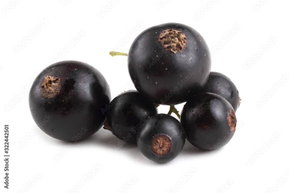 Black currant isolated on white Black currant isolated on white