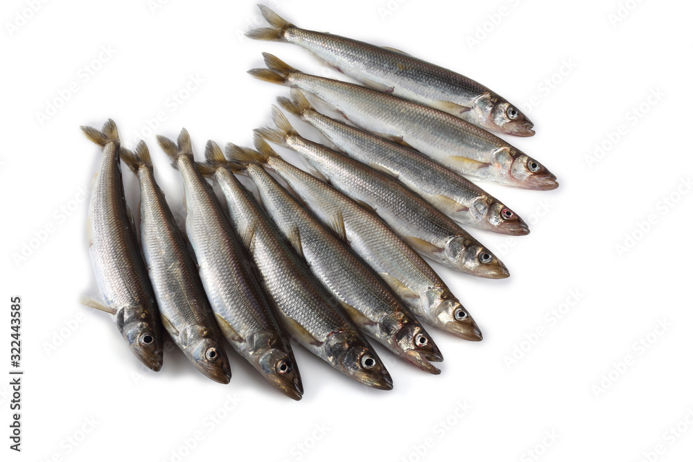 Smelt fish isolated on white (Osmerus mordax, biggest smelt variety) Smelt fish isolated on white (Osmerus mordax, biggest smelt variety)