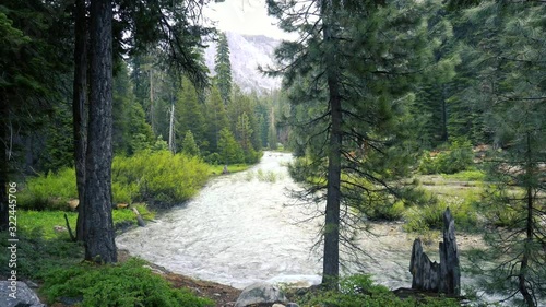 A calming river flowing through Sequoia National Park, CA. photo