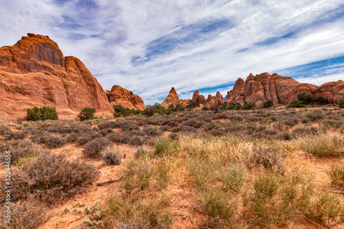 Desert Land