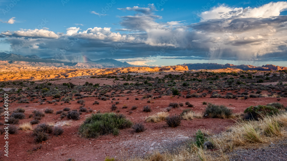 Desert rain Desert rain
