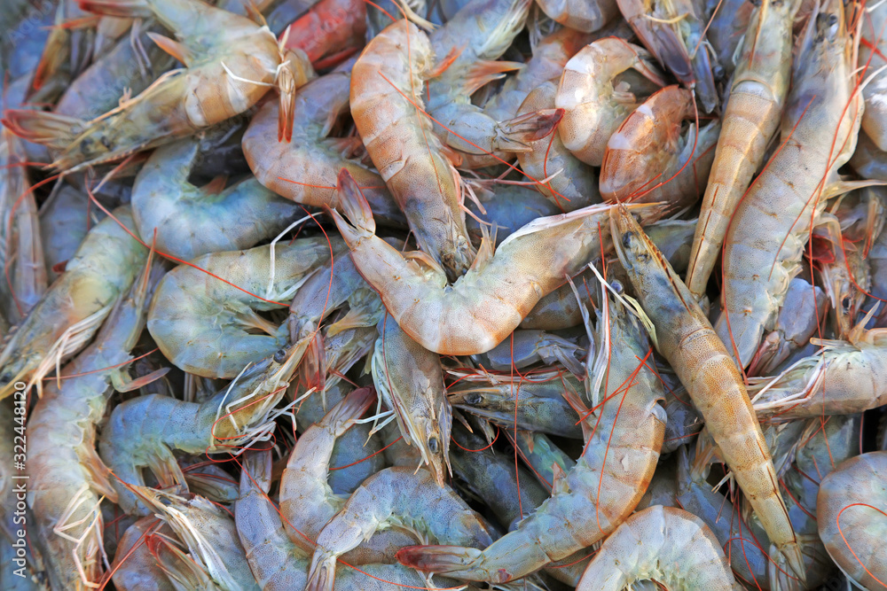 Piles of frozen prawns