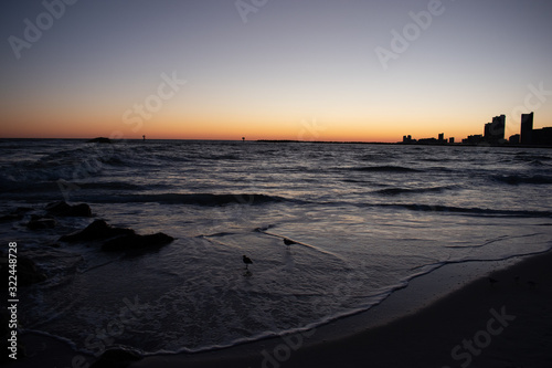 Beach sunset birds playing in the waves