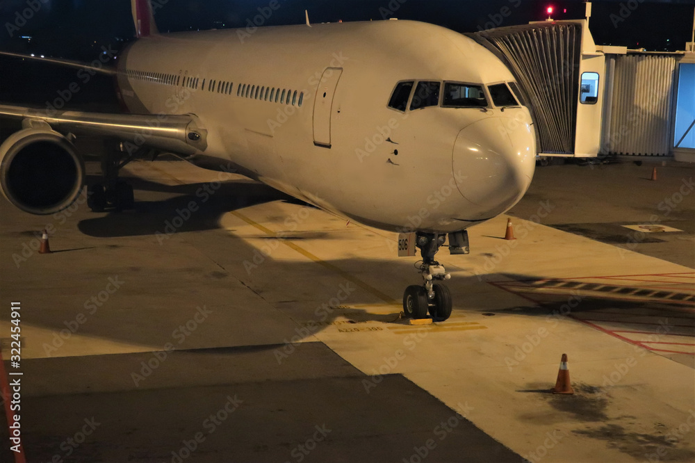 Obraz premium 여객기 탑승교 