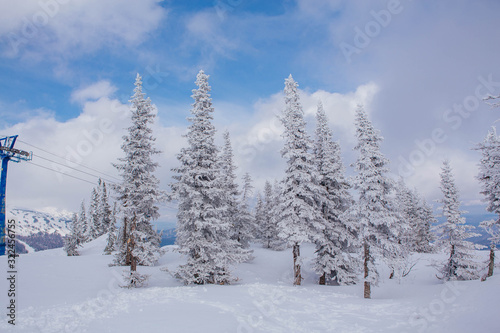Beautiful winter landscape with snow covered trees and blue sky.