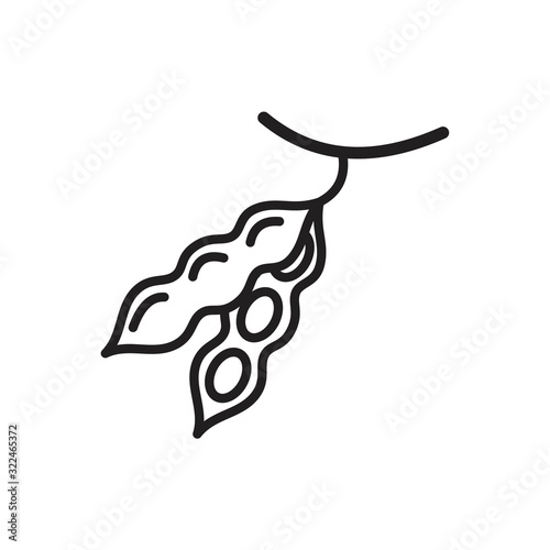Soy beans, vector peas line Icon template black color editable. Soy beans, vector peas line Icon symbol Flat vector illustration for graphic and web design.