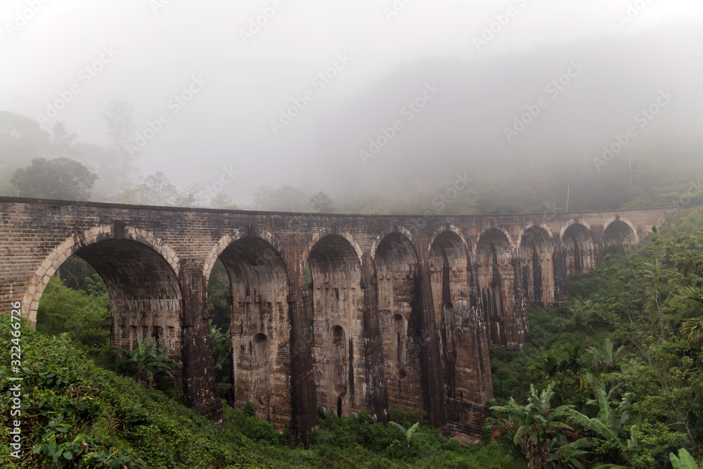 rainforest morning fog Sri Lanka Railway Viaduct