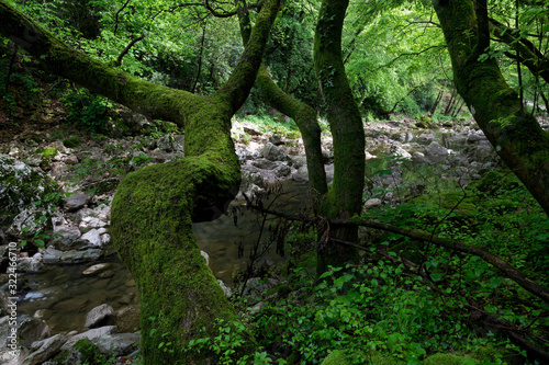 Dry riverbed in the Rjecina River canyon