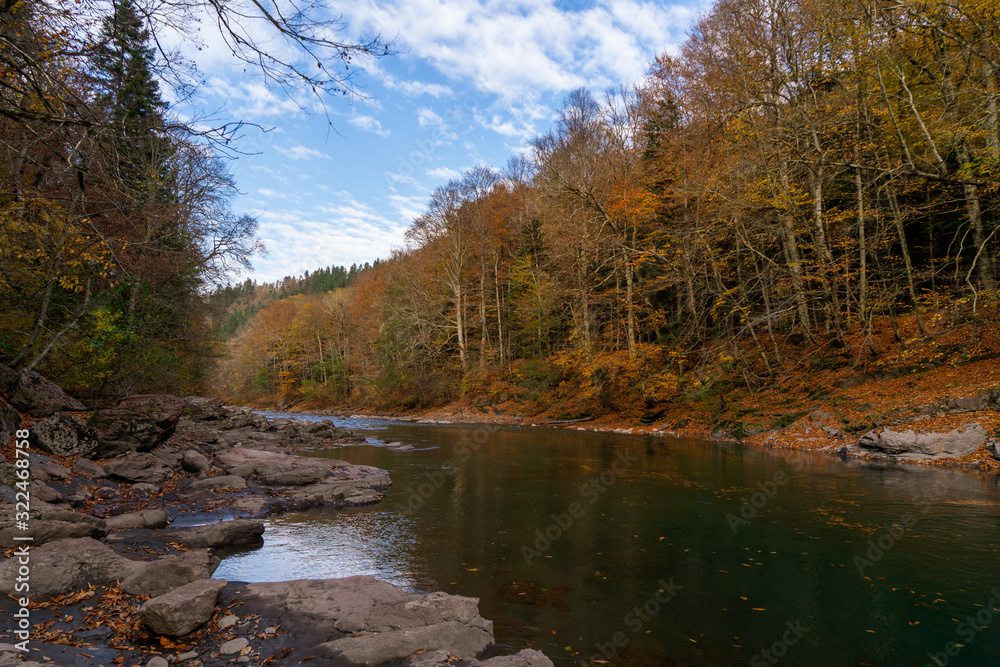 Clean mountain river in the autumn forest.