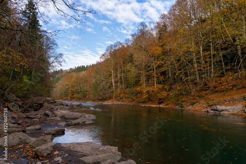 Clean mountain river in the autumn forest.