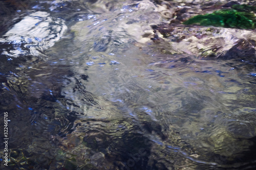 Clear water of a mountain stream.
