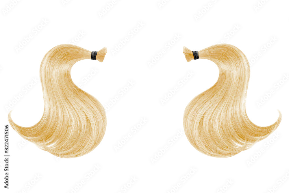 Blond hair isolated on white background. Two ponytail - obrazy, fototapety, plakaty 