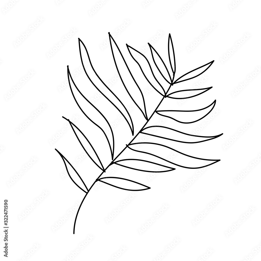 The vector leaf of the palm hand drawn. Tropical and botanical illustration black line art on a white isolated background. Design for web,social networks,textiles,stickers, cards, packaging,wallpaper.
