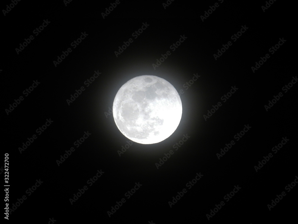 Obraz premium Luna brillante