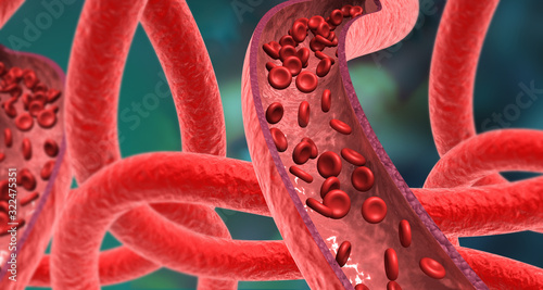 Artery red blood cells streams. 3d illustration.. photo