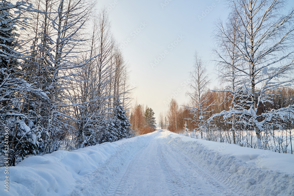 White road in a winter forest with snow covered trees in a sunny day White road in a winter forest with snow covered trees in a sunny day