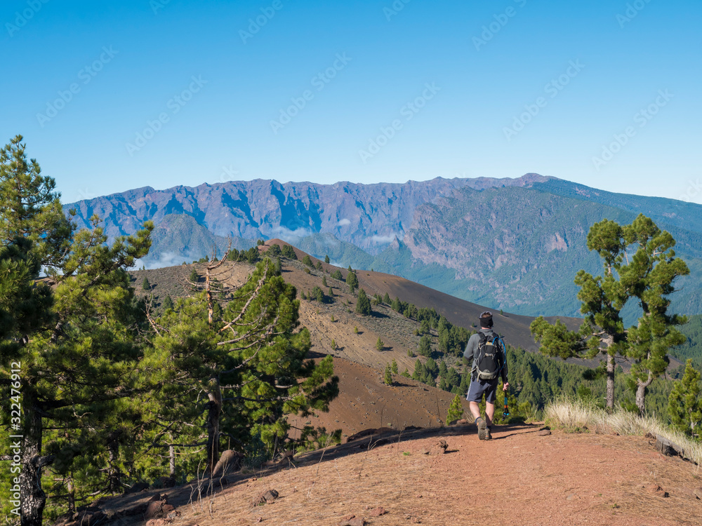 Fototapeta premium Volcanic landscape with lush green pine trees, colorful volcanoes and lava rock field along path Ruta de los Volcanes, hiking trail at La Palma island, Canary Islands, Spain, Blue sky background