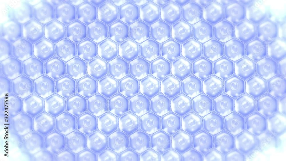 Human skin cells. Each cell with membrane. Cellular therapy. Disease treatment. Nucleus and vacuole. Regeneration. Loop animation. Human skin cells. Each cell with membrane. Cellular therapy. Disease treatment. Nucleus and vacuole. Regeneration. Loop animation.