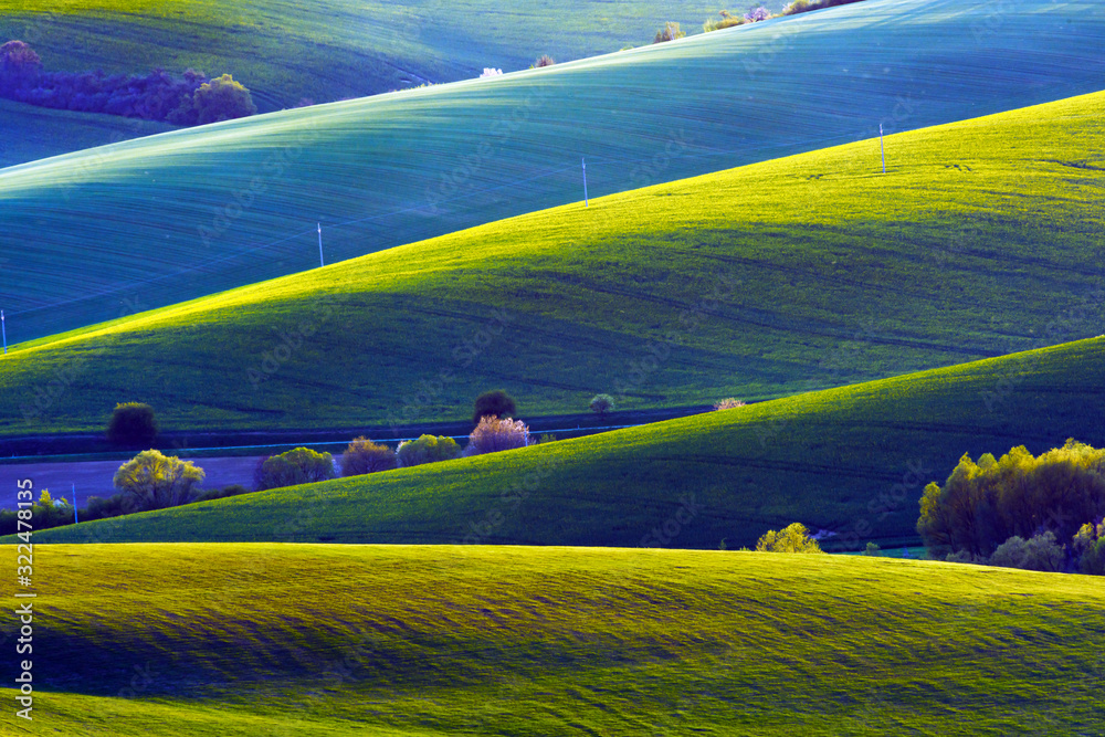 Obraz premium Picturesque rural landscape with green agricultural fields and trees on spring hills. South Moravia region, Czech Republic