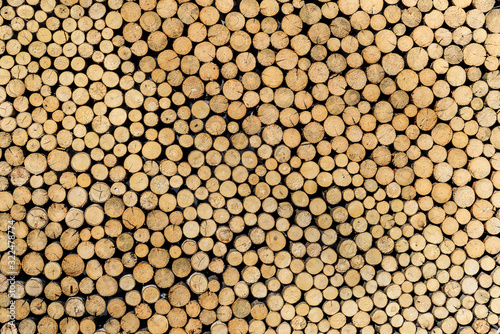 Background from many slices of wood.