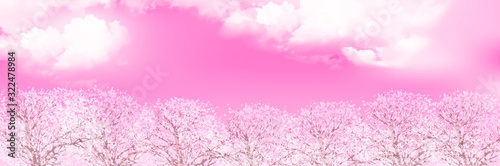 桜　春　花　背景