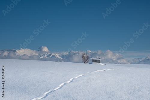 雪山のある風景 © 大西 親文