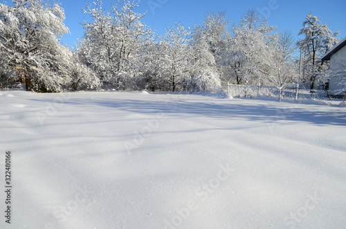 Beautiful winter landscape.Trees covered with hoarfrost and snow