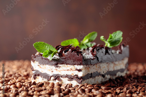 Delicious chocolate cake with mint.