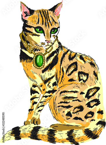 Fahion bengal cat girl in  necklace with green gemstone, hand drawn animal illustration. The asian leopard cat on white 