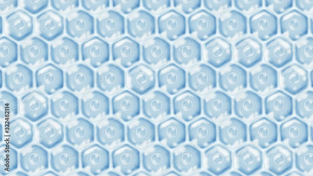 Human skin cells. Each cell with membrane. Cellular therapy. Disease treatment. Nucleus and vacuole. Regeneration. Loop animation. Human skin cells. Each cell with membrane. Cellular therapy. Disease treatment. Nucleus and vacuole. Regeneration. Loop animation.