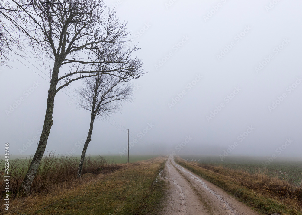 Beautiful foggy nature of Latvia opens in the morning