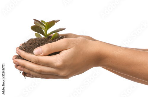 Child's hands holding small...