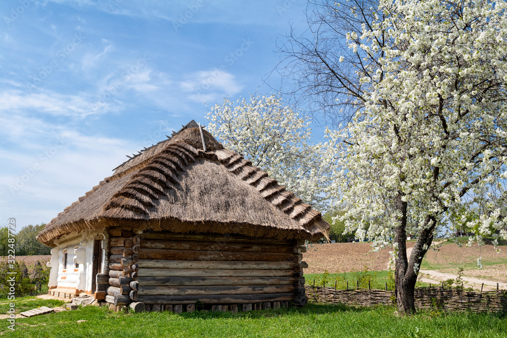 Rural ukrainian landscape