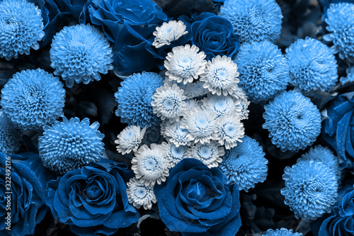 Bouquet of roses and chrysanthemums close up. Beautiful blue flower background. Floral backdrop. 