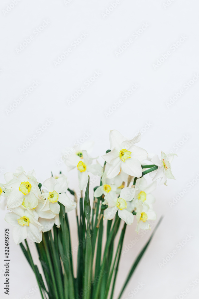 A little girl on a white background stands and holds branches of lilac, blooming kurst, lilac, spring and summer A little girl on a white background stands and holds branches of lilac, blooming kurst, lilac, spring and summer