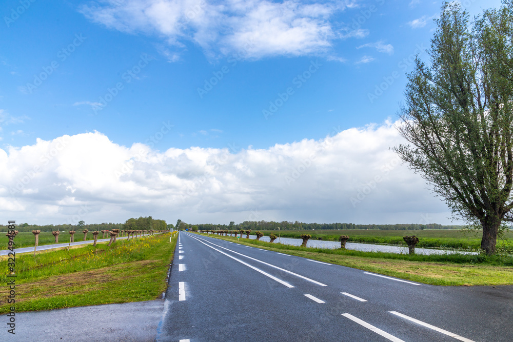 Fototapeta premium Rural landscape, water canals in the vicinity of Kinderdijk, the Netherlands
