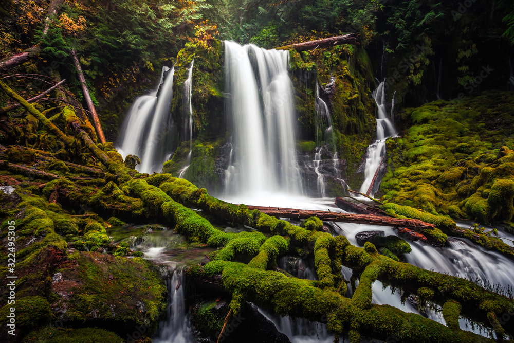 Obraz premium Downing Creek Falls, a Hidden Falls in Oregon