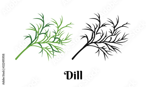 Dill greenery isolated on white background. Vector color illustration of  fragrant green herbs in cartoon flat style and black and white outline. Vegetable Icon.